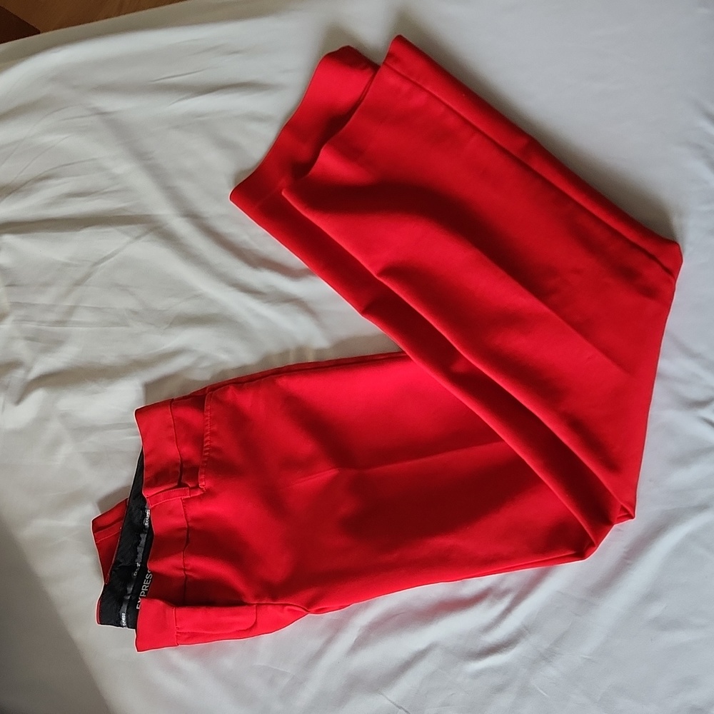 Express business pants